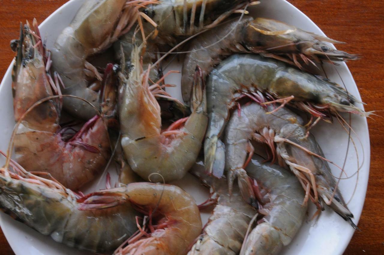 블랙 비치 리조트 바르칼라 외부 사진